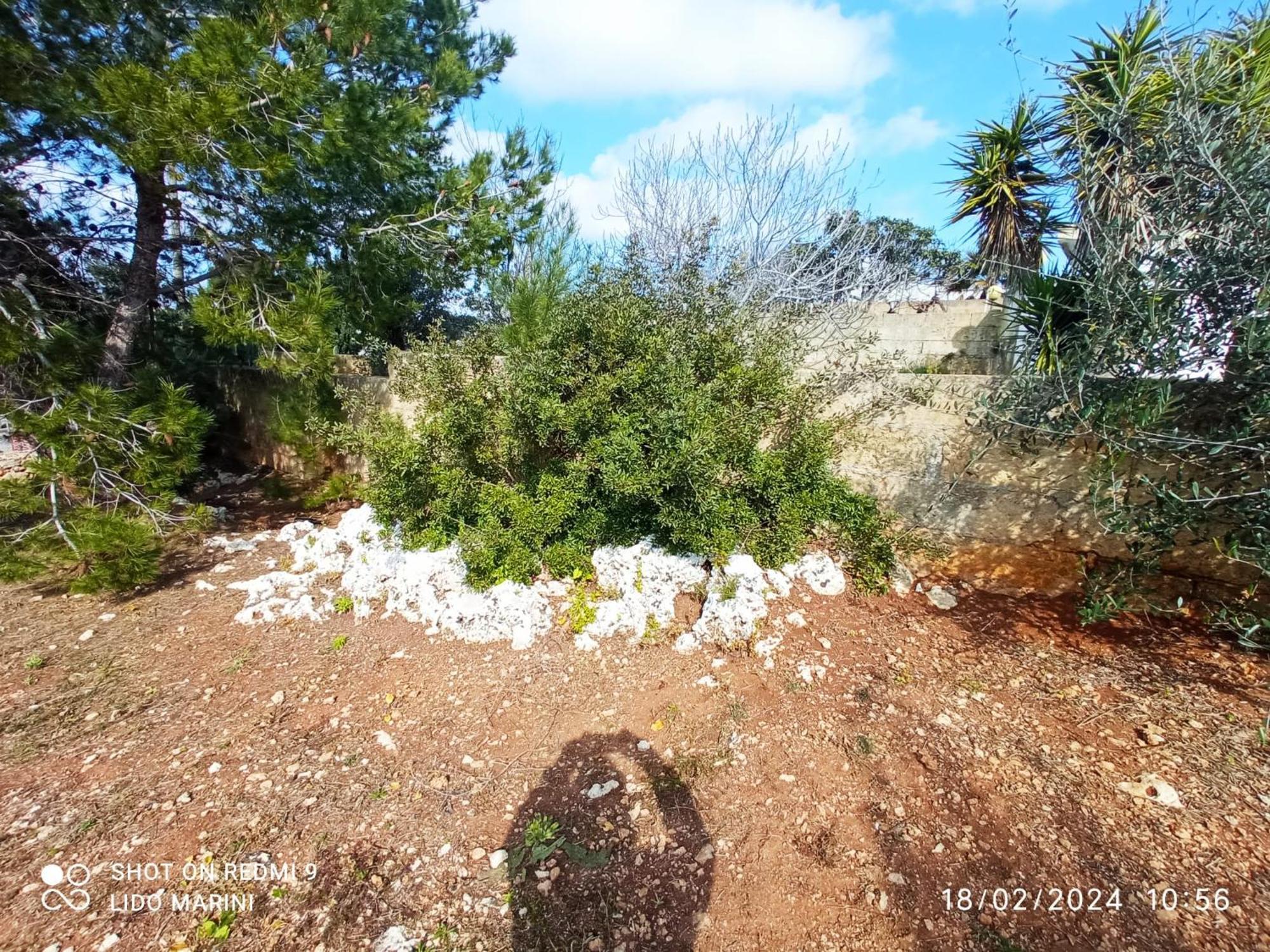 Villa Il Pigno Zona Maldive Del Salento Marina Di Pescoluse Exteriör bild